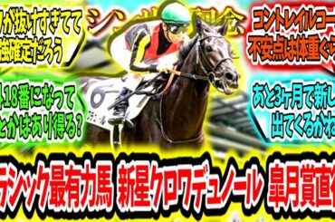『今年の主役候補‼新星クロワデュノール皐月賞直行‼』に対するみんなの反応【競馬の反応集】