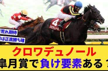 【競馬】皐月賞のクロワデュノールって死角ある？