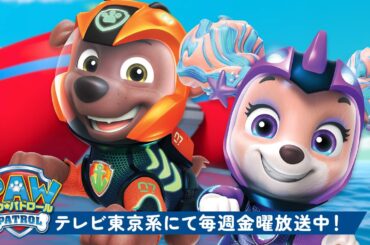 パウ・パトロール | パウ・パトロール最高の瞬間と海のパトロール！ズーマ＆コーラルと一緒の１時間🚐 | テレビ東京系にて放送中
