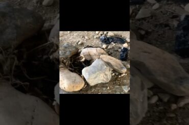 ④ 【台風10号直撃・浅川沿い注意】獄門の心霊スポット「大和田刑場跡」周辺にあるもの…【史上最強クラス・交通機関に影響】【熱中症、新型コロナ、変異株KP.3、ゲリラ豪雨、地震注意】（東京都 八王子市）