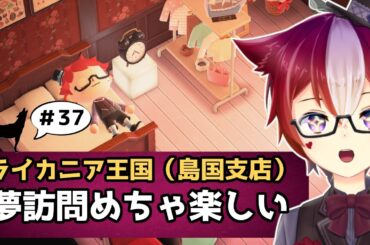 【雑談/あつ森 #37】ランダム夢見が楽しくなってきた子オオカミ編 あつまれどうぶつの森【Vtuber/雪星ケン】