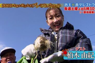 満天☆青空レストラン　1/25放送「静岡県　プレミアムホワイト」