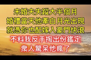 未婚夫失蹤大半個月，婚禮當天他牽白月光出現：就憑你也配嫁入豪門快滾，不料我反手掏出份鑑定，衆人驚呆他瘋了