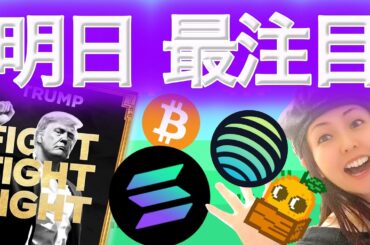 トランプコインは明日どうなる? SOL JUP急騰