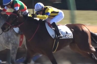 【現地】2025 ヒートオンビート 石神深一 セン馬となり障害転向後の初戦を勝利 【中山競馬場 目黒記念優勝馬】