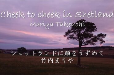 竹内まりや・シェットランドに頬をうずめて