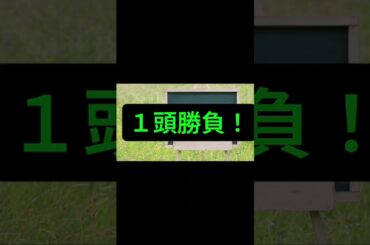 【結果発表！】菊花賞を当てたい！　＃競馬