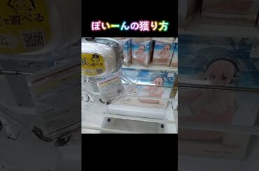 #クレーンゲーム #攻略 #橋渡し #ネタ #スーパーそに子 #そに子 #まあみのご挨拶  TikTok