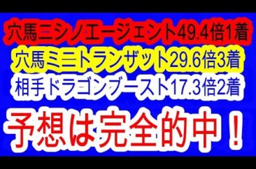 【競馬予想】京成杯2025　推奨穴馬ニシノエージェント1着　ミニトランザット3着　クロワデュノールを皐月賞で負かすならこの馬！？　何故か人気の無い素質馬がアツい！！