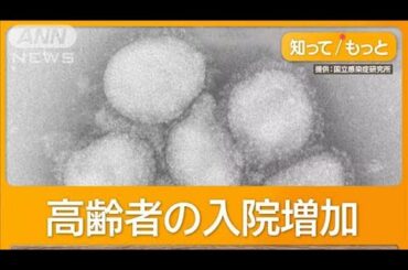 例年の3倍…インフルエンザ入院急増　病床ひっ迫　「肺炎を起こしやすい」特徴も　【もっと知りたい！】【グッド！モーニング】(2025年1月19日)
