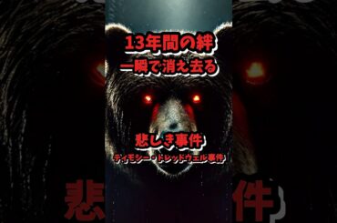 13年の絆一瞬で消え去る、映画『グリーズマン』のモデル事件、ティモシー・トレッドウェル事件#shorts #animals #ai