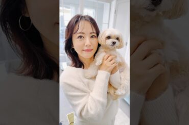 月刊わんこで愛犬と撮影してきた！