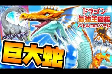 隠し大会解禁！最強の水龍イルルヤンカシュ変異種でハイランク大会を制覇せよ【ドラゴン最強王図鑑バトルコロシアム】攻略実況Part14