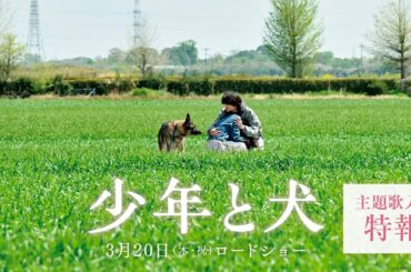 【主題歌 SEKAI NO OWARI「琥珀」】映画『少年と犬』主題歌入り特報映像【3月20日(木・祝)公開】