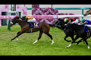 【記者のベストレース２０２４】モレイラが見せた〝魔法〟　桜花賞で何が起きたのか？／藤井真俊