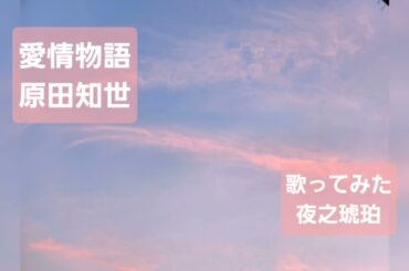 原田知世さんの「愛情物語」を歌ってみた💐　　@Yorunokohaku-channel
