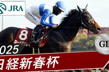 2025年 日経新春杯（GⅡ） | ロードデルレイ | JRA公式