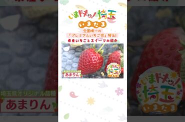 【予告】#あまりん #いちご #日本一おいしい埼玉のいちご #全国いちご選手権 #フルーツサンド #クレープ #カナイ #松井咲子 #小堺翔太 #いまたま #埼玉県 #埼玉 #shorts