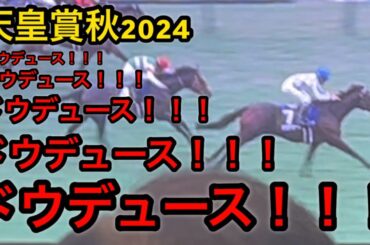 【天皇賞秋2024】ドウデュース限界オタクの涙腺が崩壊しました【ドキュメンタリー】