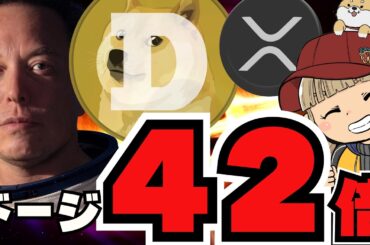 【🔥ドージ爆億説】ETF承認は○○日後！期待が高まる／イーロン関連ミームコインが超注目！億り人量産なるか／ビットコイン昨夜高騰したのは？