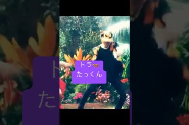 トラ🐅たっくん