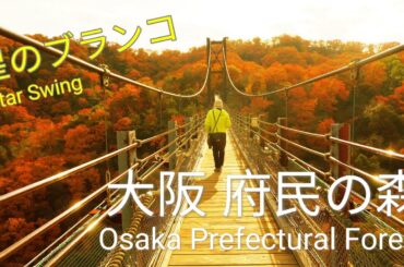 Vlog | 大阪 府民之森 星之秋韆 |  府民の森 星のブランコ | Osaka Prefectural Forest Star Swing