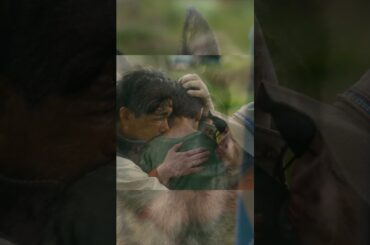 映画『少年と犬』TVCM 多聞の旅篇【3月20日(木・祝)公開】#shorts