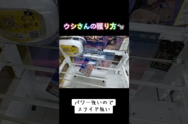 #ゲーセン #橋渡し #クレーンゲーム #攻略 #オーバーロード #アルベド  TikTok