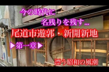 「尾道市遊郭」「新開新地」今の時代に衝撃的な景色が…「花街」「色街」が名残りを残す昭和感漂う街