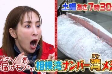 『所さんお届けモノです!』真飛聖が相模湾グルメ100キロ旅!! 三浦市の新名物“アカネミ”とは？ 2/1(土)【TBS】