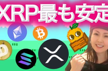 XRPよき 今年のどこかでバブルが終わる