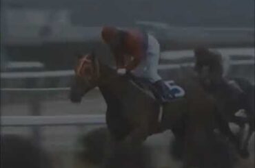 1981年桜花賞･ダイジェスト（4角～）　ブロケード　～短波放送