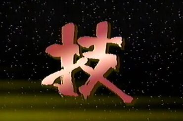 1989年1月22日 決定!!’88 プロ野球珍プレー好プレー大賞（再） 8/9【技】