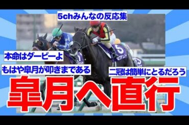 【競馬】クロワデュノールが皐月賞へ直行に対するみんなの反応