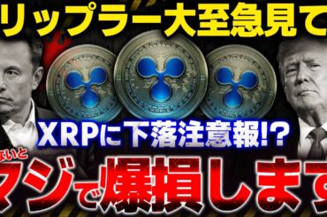 ※リップル最新情報！XRPは今後下落する？何枚持てばいい？トランプコインから学ぶ仮想通貨で億り人になる最も簡単な方法!!!【SWELL(スウェル)】【ビットコイン】