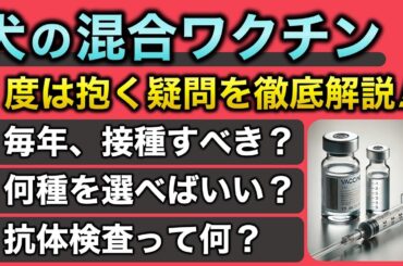 【犬の予防】犬の混合ワクチンを徹底解説！
