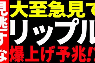 ⚠️大至急見て⚠️リップル（XRP）大きく動く予兆あり⁉今後の最新分析を共有！【仮想通貨】