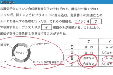 共通テスト2024年度（生物）大問２