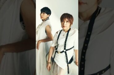 週末の楽しみ！TBS新作と絶品弁当の魅力を紹介