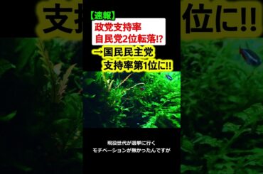 【朗報】国民民主党が支持率1位に!! 参院選 比例投票先調査 【政治ニュース】