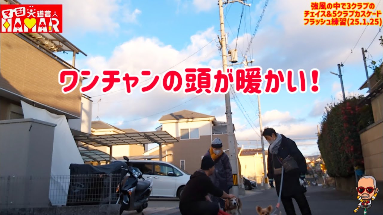 【冷たい強風】知ってたかい?犬とおばさまの手って暖かいんだぜ 【冷たい強風】知ってたかい?犬とおばさまの手って暖かいんだぜ