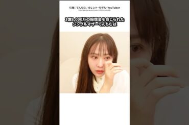 約4億の賠償金を命じられたシングルマザーてんちむの話 #てんちむ