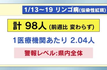 リンゴ病　インフル　感染者数警報レベル続く　１月１３日～１９日の定点医療機関