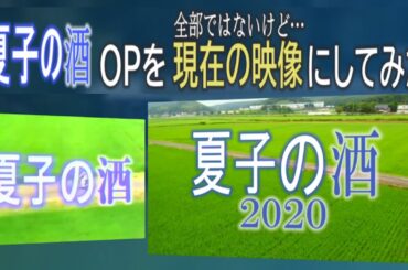 ドラマ【夏子の酒】オープニングを2020年撮影の映像にしてみた