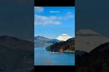 抒情写意的 宫本武藏 落樱般淡淡的哀伤 宫本 八千草薰 昭和美人 三船敏郎 玉置浩二  #日本地陪 #日本旅游 #定制旅游 #Camping #日本地接