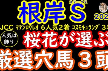 根岸ステークス2025桜花が選ぶ厳選穴馬３頭！重賞勝ち馬が少ないメンバー構成で波乱含み！実績が横一線のメンバーなだけに穴馬にもチャンスがありそうだ！