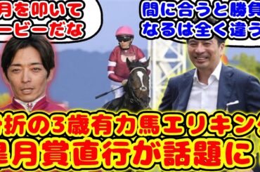 【競馬】京都2歳S勝ち馬エリキング 皐月賞直行が話題に！！【競馬の反応集】
