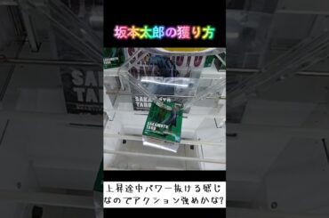 #橋渡し #クレーンゲーム #攻略 #サカモトデイズ #坂本太郎 #ワンパン #太った #一撃  TikTok