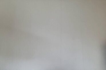 1/30（木）朝刊チェック：斎藤元彦兵庫県知事による言論弾圧について