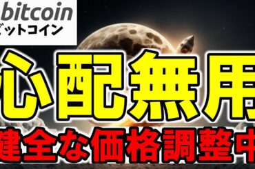 【仮想通貨 ビットコイン】長期ホルダーの売却は心配無用？今は健全な価格調整中です！（朝活配信1727日目 毎日相場をチェックするだけで勝率アップ）【暗号資産 Crypto】